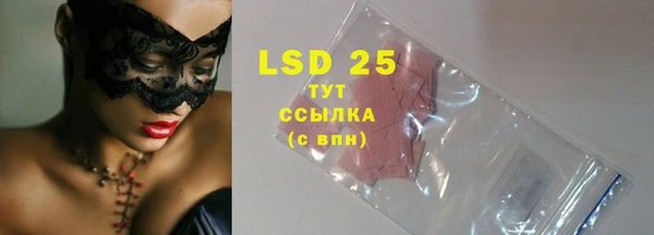 стаф Новозыбков