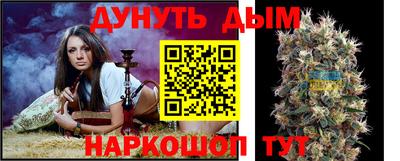 индика Апшеронск