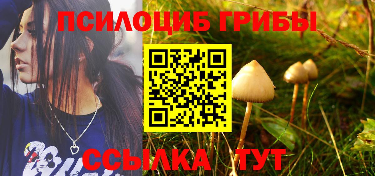 Галлюциногенные грибы мухоморы Астрахань